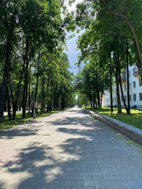 б-р. Культуры,25 в Новой Ляле - novaya-lyalya.yutvil.ru - фото 39