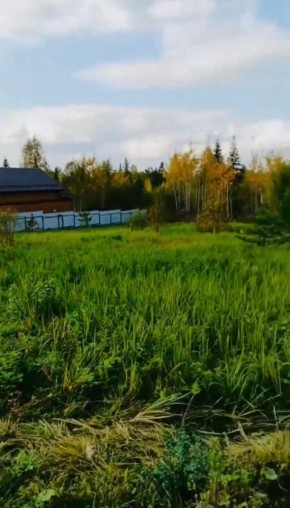 ДП Родной в Новой Ляле - novaya-lyalya.yutvil.ru ДП Родной в Новой Ляле - novaya-lyalya.yutvil.ru