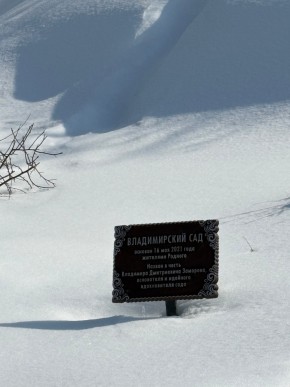 ДП Родной в Новой Ляле - novaya-lyalya.yutvil.ru - фото 11