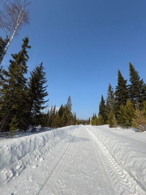 ДП Родной в Новой Ляле - novaya-lyalya.yutvil.ru - фото 7