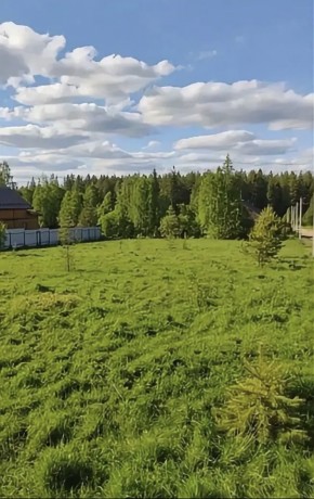 ДП Родной в Новой Ляле - novaya-lyalya.yutvil.ru - фото 4