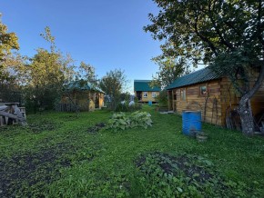 Екатеренбург сад Торгмаш, СНТ  Садовод, уч. 52 в Новой Ляле - novaya-lyalya.yutvil.ru - фото 14