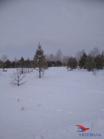 Земельный участок поселок Баженово в Новой Ляле - novaya-lyalya.yutvil.ru - фото 5