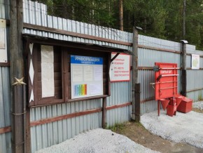 г.Верхняя Пышма СНТ №5 Березки в кв. 22 Среднеуральского Уралмашевского лесхоза в Новой Ляле - novaya-lyalya.yutvil.ru - фото 18