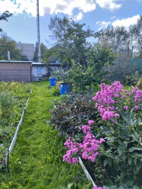 Коллективный сад номер 7, участок 58 в Новой Ляле - novaya-lyalya.yutvil.ru - фото 23 Коллективный сад номер 7, участок 58 в Новой Ляле - novaya-lyalya.yutvil.ru - фото 23