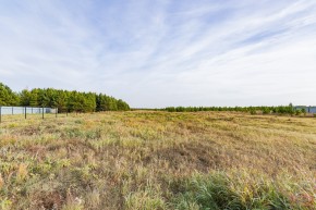 Российская Федерация, Свердловская область, Сысертский городской округ, территория садоводческого некоммерческого товарищества Бобровские дачи, улица Каштановая, земельный участок № 38 в Новой Ляле - novaya-lyalya.yutvil.ru - фото 16