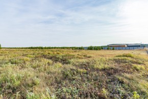 Российская Федерация, Свердловская область, Сысертский городской округ, территория садоводческого некоммерческого товарищества Бобровские дачи, улица Каштановая, земельный участок № 38 в Новой Ляле - novaya-lyalya.yutvil.ru - фото 24