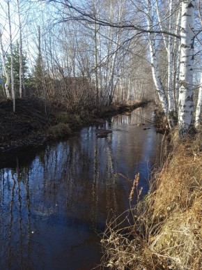 СНТ Берёзка в Новой Ляле - novaya-lyalya.yutvil.ru - фото 14