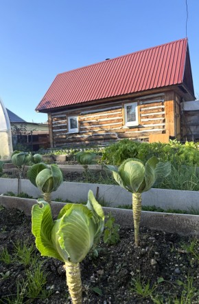 СНТ Дорожник в Новой Ляле - novaya-lyalya.yutvil.ru - фото 19