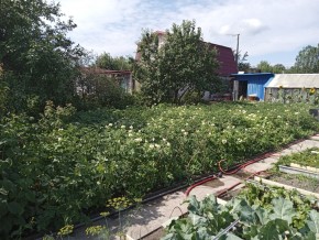 СНТ Медик-2 в Новой Ляле - novaya-lyalya.yutvil.ru - фото 6