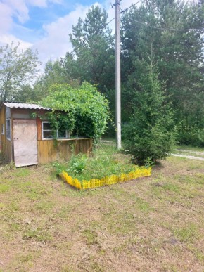 СНТ Родники в Новой Ляле - novaya-lyalya.yutvil.ru - фото 2