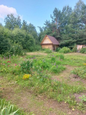 СНТ Родники в Новой Ляле - novaya-lyalya.yutvil.ru - фото 3
