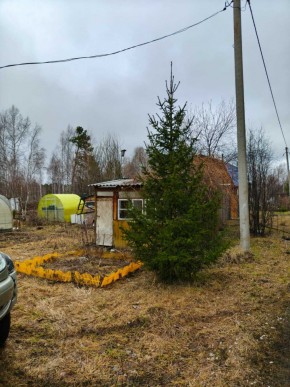 СНТ Родники в Новой Ляле - novaya-lyalya.yutvil.ru - фото 5