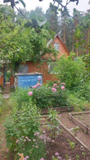 СНТ Садовод-24 в Новой Ляле - novaya-lyalya.yutvil.ru