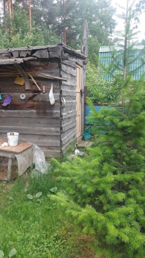 СНТ Садовод-24 в Новой Ляле - novaya-lyalya.yutvil.ru - фото 13