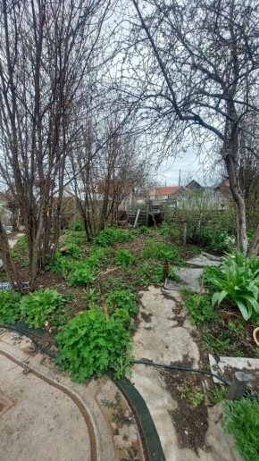 СНТ Сирень, уч. 38 в Новой Ляле - novaya-lyalya.yutvil.ru - фото 7