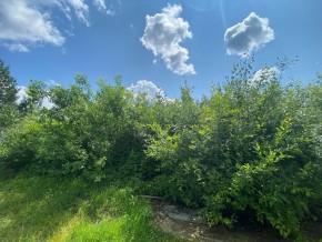 СПК Юбилейный, уч. 9 в Новой Ляле - novaya-lyalya.yutvil.ru - фото 9