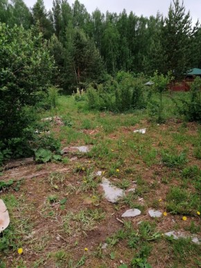 СТН Семья №112, Верхняя пышма на землях бывшего подсобного хозяйтва верхнепышминского опытного завода в Новой Ляле - novaya-lyalya.yutvil.ru - фото 17 СТН Семья №112, Верхняя пышма на землях бывшего подсобного хозяйтва верхнепышминского опытного завода в Новой Ляле - novaya-lyalya.yutvil.ru - фото 17
