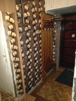 ул. Бажова,11 в Новой Ляле - novaya-lyalya.yutvil.ru - фото 9