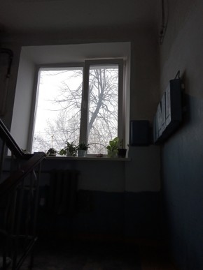 ул. Донбасская,27 в Новой Ляле - novaya-lyalya.yutvil.ru - фото 5 ул. Донбасская,27 в Новой Ляле - novaya-lyalya.yutvil.ru - фото 5