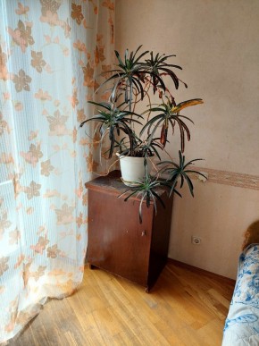 ул. Индустрии,29 в Новой Ляле - novaya-lyalya.yutvil.ru - фото 4