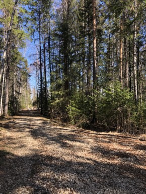 ул. Калиновая,9 в Новой Ляле - novaya-lyalya.yutvil.ru - фото 2 ул. Калиновая,9 в Новой Ляле - novaya-lyalya.yutvil.ru - фото 2