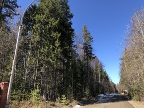 ул. Калиновая,9 в Новой Ляле - novaya-lyalya.yutvil.ru - фото 4 ул. Калиновая,9 в Новой Ляле - novaya-lyalya.yutvil.ru - фото 4