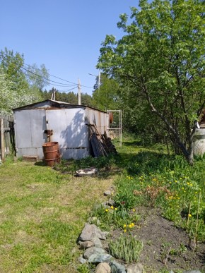 ул. Полынная,29 в Новой Ляле - novaya-lyalya.yutvil.ru - фото 4 ул. Полынная,29 в Новой Ляле - novaya-lyalya.yutvil.ru - фото 4