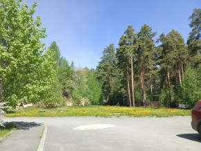 ул. Сосновая, 8 в Новой Ляле - novaya-lyalya.yutvil.ru - фото 26