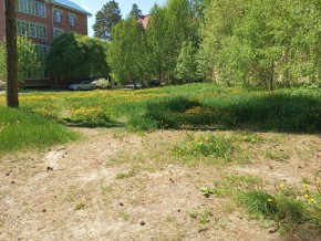 ул. Сосновая, 8 в Новой Ляле - novaya-lyalya.yutvil.ru - фото 33