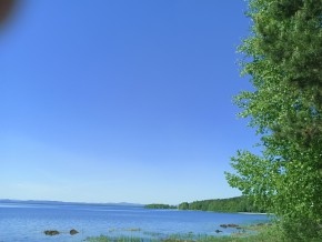ул. Сосновая, 8 в Новой Ляле - novaya-lyalya.yutvil.ru - фото 34