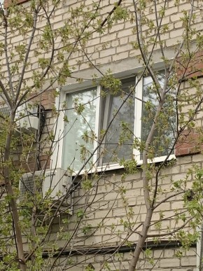 ул. Таганская,8 в Новой Ляле - novaya-lyalya.yutvil.ru - фото 14