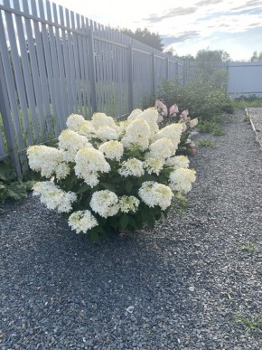 ул. Весенняя,12 в Новой Ляле - novaya-lyalya.yutvil.ru - фото 20