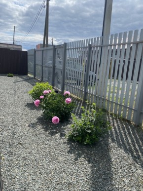 ул. Весенняя,12 в Новой Ляле - novaya-lyalya.yutvil.ru - фото 22