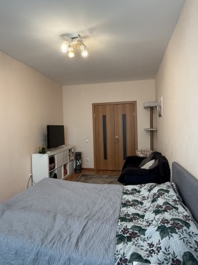 ул. Вильгельма де Геннина,47 в Новой Ляле - novaya-lyalya.yutvil.ru - фото 9